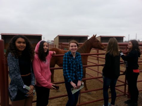 Students Lakaya Holmes, Marianna Lyons-Smith, and Emma Larson learn about animal health on a career cab. 