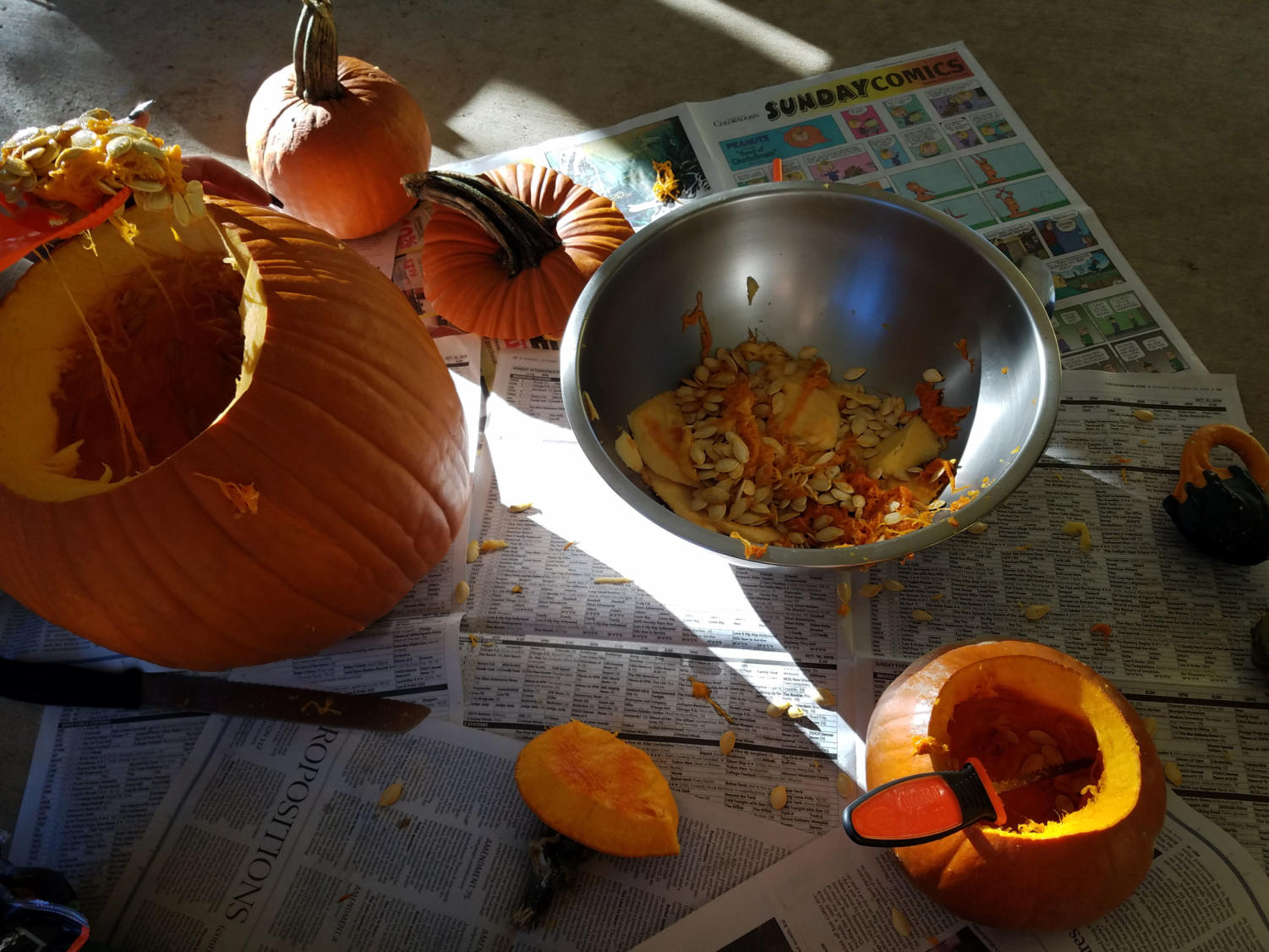 These past few sunny days have been perfect pumpkin carving weather - get out there before it's too cold again.