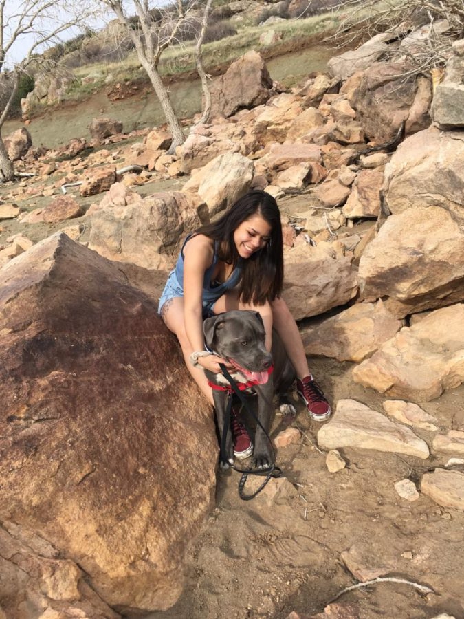 Bethany Rush and her blue nose pitbull Maui explore Horsetooth Rock.