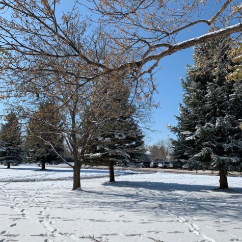 No Mo’ Snow!