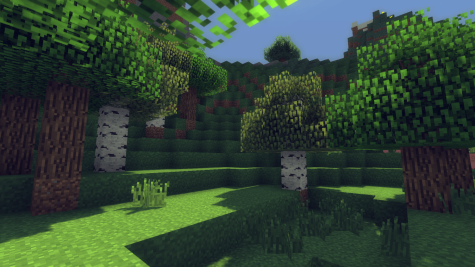 The Significance of Minecraft During the Pandemic