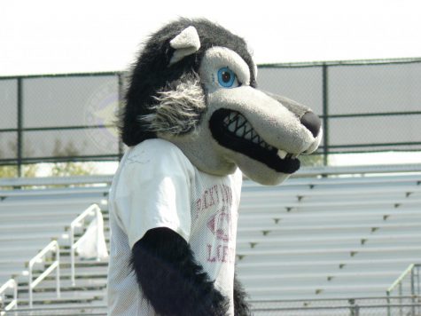 Loco the Lobo leads spirit cheers at the assembly. 