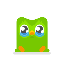 Duolingo is a good way to practice a language.