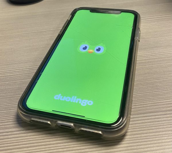 Review: Duolingo