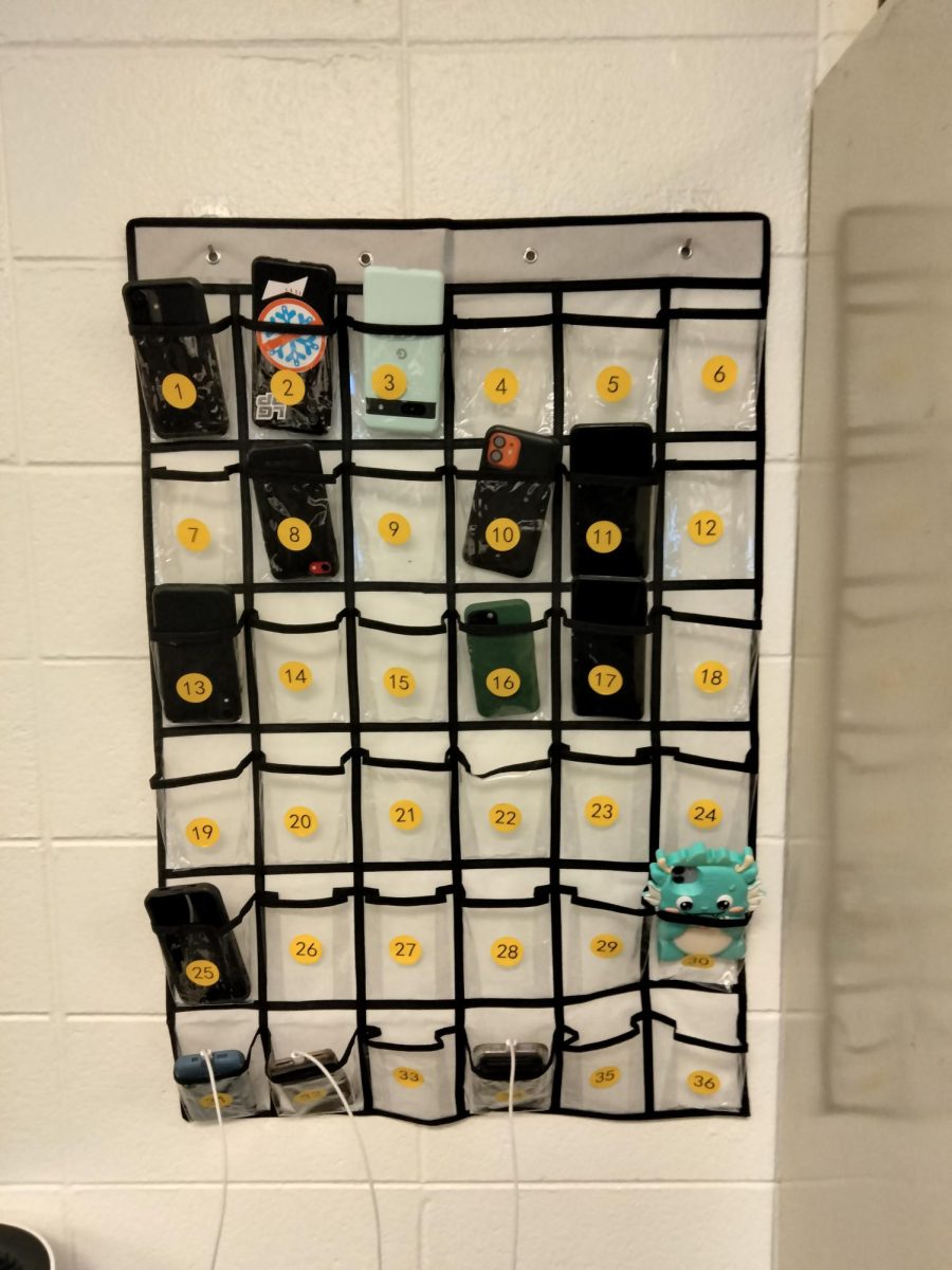 This is an example of one of the ways teachers are tackling phone issues. In Ms. Dybzinski's class this hangs on the wall. Each student must put their phones in at the beginning of the class period and they can retrieve them at the end of class. 