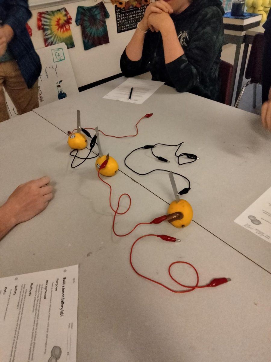 Materials Science class makes lemon batteries.