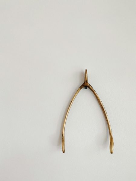 Why do we call it a wishbone? This podcast can tell you!

Photo by Taylor Heery on Unsplash, free to download. 