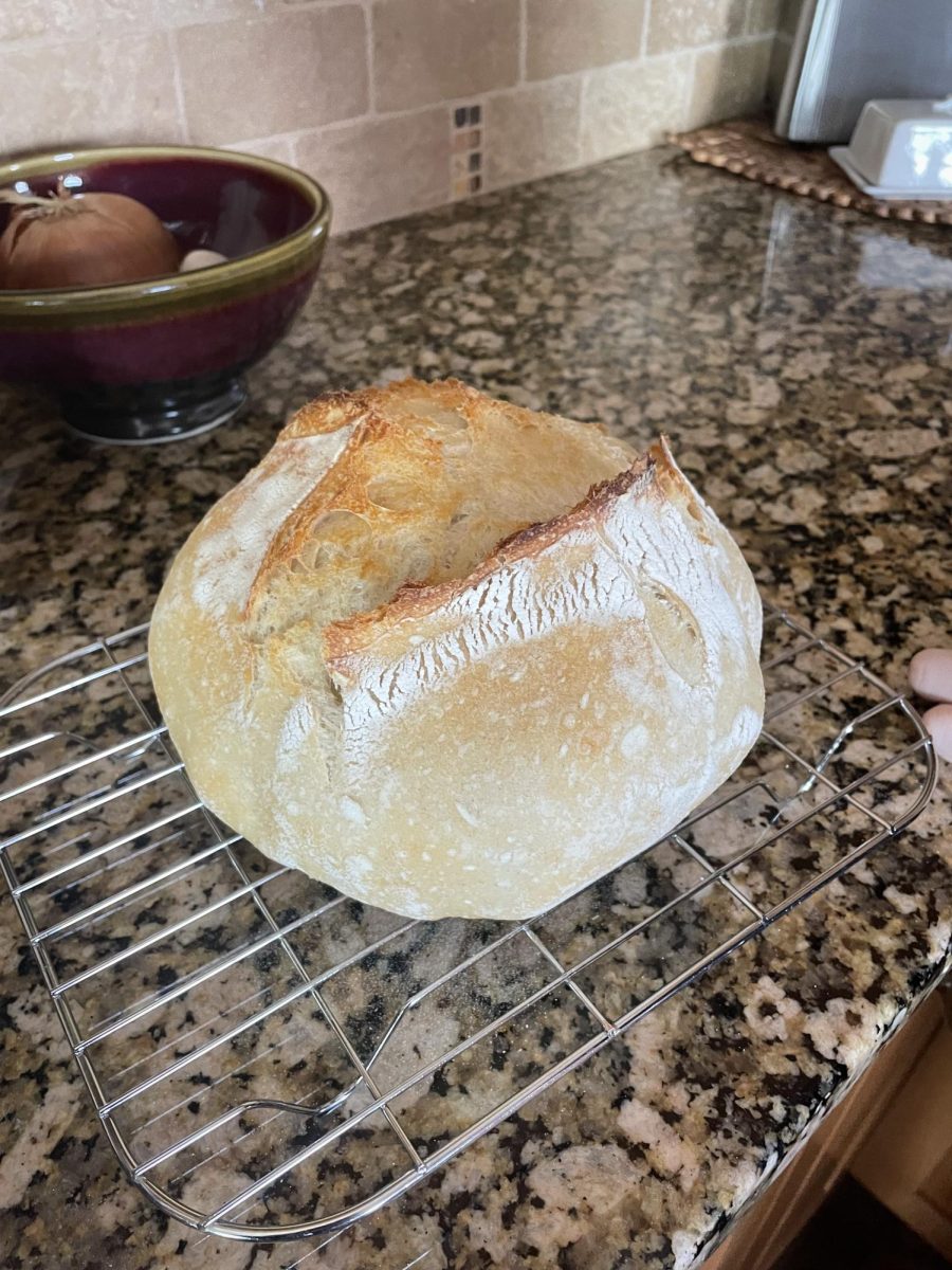 A loaf of sourdough cools on a wired rack after being pulled from the oven. "Making sourdough for the first time was so much fin and I can't wait to try again sometime," Nola Ayars said. 
