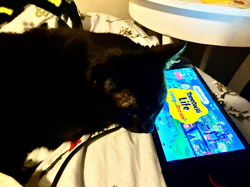 Tyrion the cat lazes around and plays "Tomodatchi Life: Living the Dream" with his owner–he loves the warmth of the video game console and being with his owner. 
